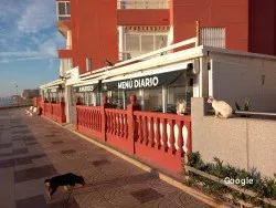 Restaurante Habemus beer - Sueca