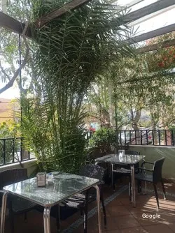 Restaurante Café Bar San Rafael - Petrer