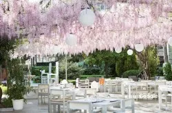 Los Patos, restaurante en Granada