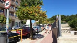 Restaurante Camilo Díez - Calp