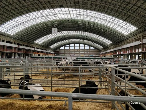 Foto de El ferial