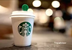 Restaurante Starbucks - Féliz Sáenz - Málaga