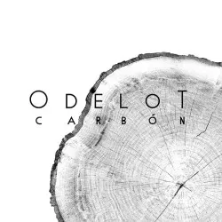 Restaurante Odelot Carbón - Toledo
