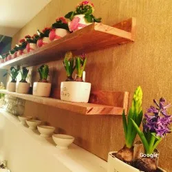 Lusco Taberna, restaurant a Cazorla