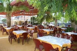 Ventorrillo Canario, restaurant in Santiponce