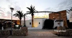 Restaurante Restaurante Cerullo's Patio Port Andratx - Andratx