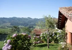 Restaurante Llagar Valleoscuru, restaurant a Llanes
