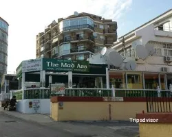 Irish Sports Bar The Mad Ass, restaurant a Benalmádena
