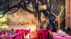 Restaurante Tierra nuestra gourmet - Badajoz