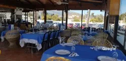 Restaurante Shamba - Torremolinos