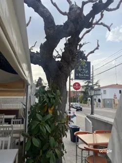 La bona tapa, restaurante en Calafell