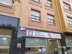 Restaurante La Flor De Galicia 3 - Oviedo