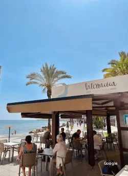 Restaurante Fresco food - Torrevieja