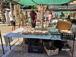 Restaurante La Taberna de Gelo - Mansilla de las Mulas