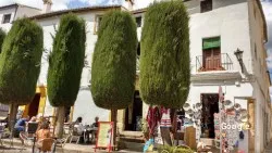 Restaurante Mesón Coto Alto - Ronda