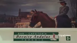 Restaurante Bocaito Andaluz - Águilas