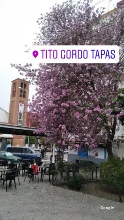 Restaurante Tito Gordo Tapas - Sevilla