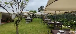 Restaurante Restaurante A de Paco - Pontevedra