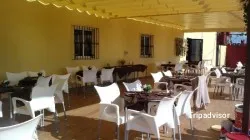 Restaurante Restaurante la Sixtina Elche - Elx