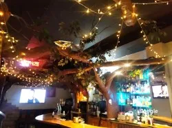 Restaurante Donde Iru!! - Barakaldo