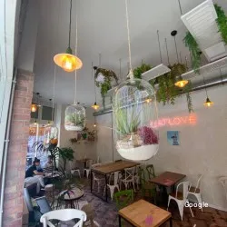 Restaurante Catlove Coffee - Gijón