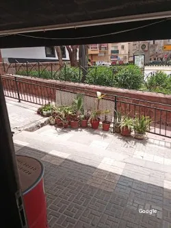 Restaurante La Mona Tapas - Málaga