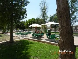 Meson El Callejon, restaurant a Los Alcázares