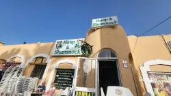 Restaurante Harp and Shamrock - Fuengirola