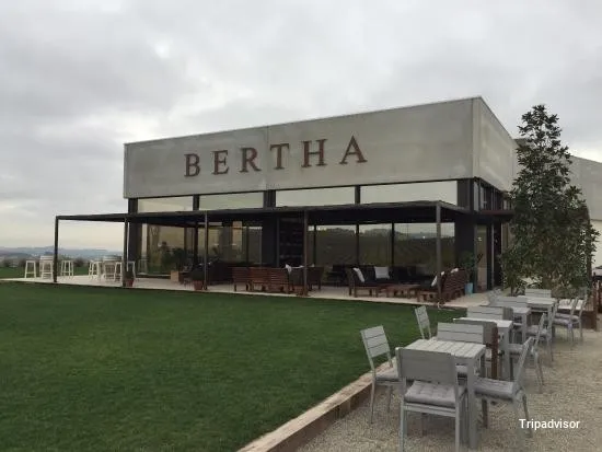 Foto de Bodegas Cava Bertha