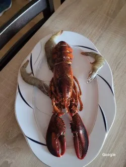 Restaurante El Bodegón - Cáceres