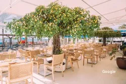 Restaurante Limonella Italian Restaurant - Arona