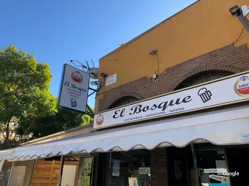 Argazkia: El Bosque
