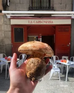 Restaurante La Carboneria - Madrid