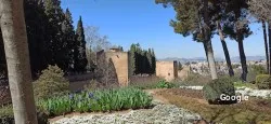 Restaurante Tipical Granada - Granada