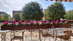 Restaurante Granja Cafeteria La Mila - La Garriga