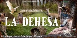 Restaurante La Dehesa Riópar, restaurant a Riópar