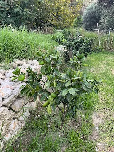 Foto de Corfú