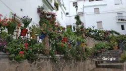 Restaurante Cafe Competa - Cómpeta