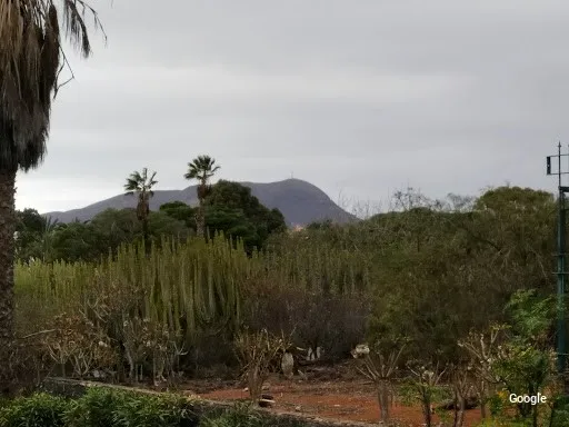Foto de Nueva Vida