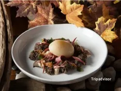 Restaurante Xavi & Nico of Hidden Factory - Barcelona