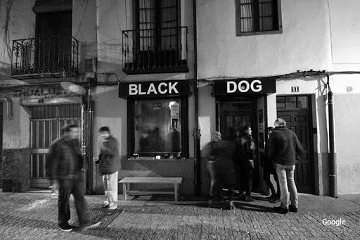 Foto de Black Dog