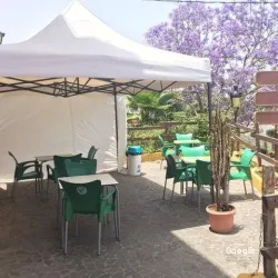 Pisco Pizza De Firgas, restaurant a Firgas