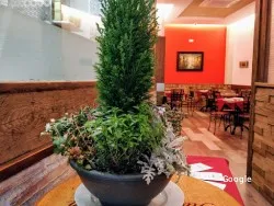 Restaurante Terra Nostra - Logroño