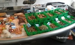 Ostra de oro, restaurant in Castell-Platja d'Aro