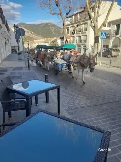 Restaurante Bar La Pesca - Mijas