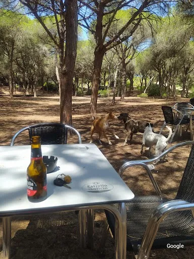 Foto de Los pinos
