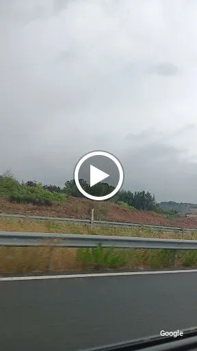 Foto de Vini Vinorum