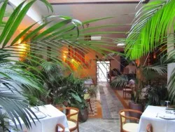 Restaurante Mandragora - Tarifa