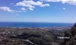 Restaurante Cafe Old Town - Marbella