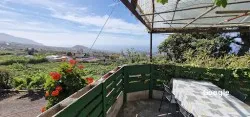 Restaurante Guachinche el Timplillo - La Orotava